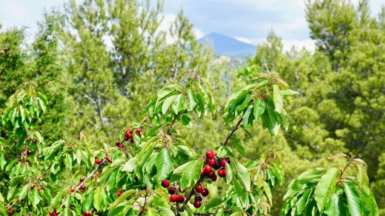 La Belle Histoire Gite Luberon 贝端 外观 照片